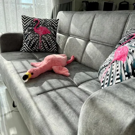 Flamingo - Stylish Near The Beach, In The Heart Of * 알란야