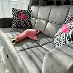 Flamingo - Stylish Near The Beach, In The Heart Of * Αλάνια